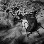 Cliquez sur cette vignette pour obtenir un agrandissement.