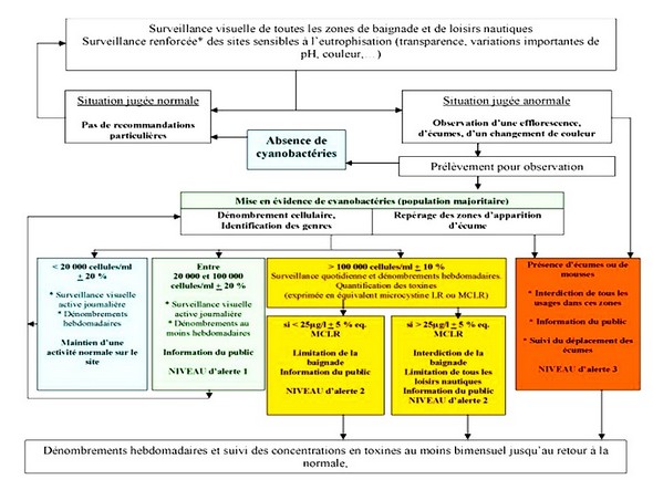 Modalités de surveillance et de gestion des eaux de loisirs (Ministère de la Santé - France).