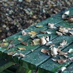 Cliquez sur la vignette pour obtenir un agrandissement.