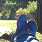 Cliquez sur cette vignette pour obtenir un agrandissement.