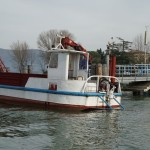 Cliquez sur la vignette pour obtenir un agrandissement.