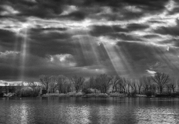 PHOTO 6 - Une partie de la rive est de la Punta Nvaccia avec les silhouettes des arbres dépouillés de leurs feuilles en cette fin d'automne..
