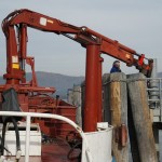 Cliquez sur la vignette pour obtenir un agrandissement.