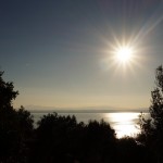 Cliquez sur cette vignette pour obtenir un agrandissement.