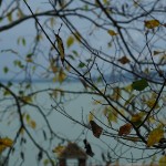 Cliquez sur la vignette pour obtenir un agrandissement.