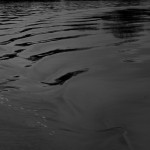 Cliquez sur la vignette pour obtenir un agrandissement.