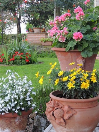 Une passion pour les imposants vases en terre cuite. Ils marquent ici la "frontière" entre la terrasse et la pelouse.