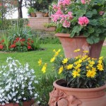 Cliquez sur la vignette pour obtenir un agrandissement.