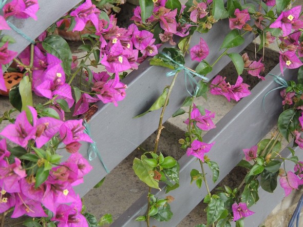 Ici, l'escalier extérieur qui mène au premier étage.