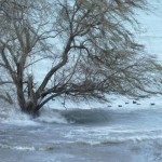 Cliquez sur la vignette pour un agrandissement maximum.