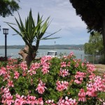 Cliquez sur la vignette pour obtenir un agrandissement.