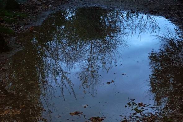 Fenêtre sur un monde souterrain ?
