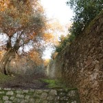 Cliquez sur la vignette pour obtenir un agrandissement.