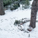 Cliquez sur la vignette pour un agrandissement maximum.