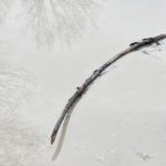 Cliquez sur la vignette pour obtenir un agrandissement.