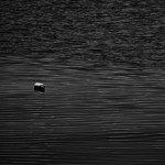 Cliquez sur la vignette pour obtenir un agrandissement.