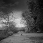 Cliquez sur la vignette pour obtenir l’agrandissement maximal.