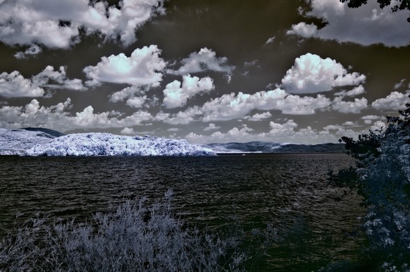 Une vue de l'Isola Maggiore prise depuis la rive de Tuoro.