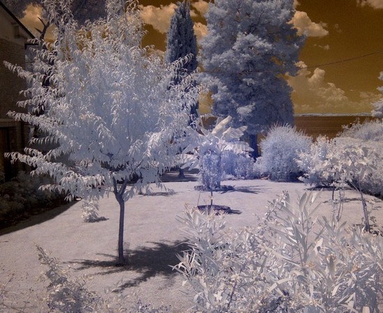 Notre verger proche de notre appontement privé au bout du jardin.