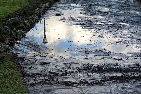 08H18Au matin du 30/01/2015, nous constatons dans le jardin que le vent et le Trasimène se sont déjà unis dans un premier assaut !