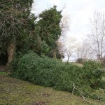 Cliquez sur la vignette pour obtenir l’agrandissement maximal.