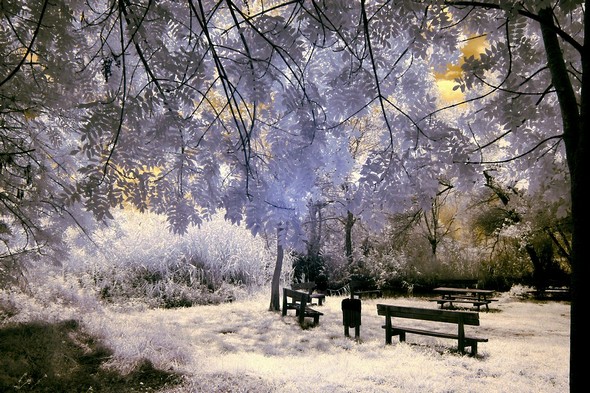 Photo - 9Petite clairière aménagée, située avant la passerelle menant à la rive du Trasimène.