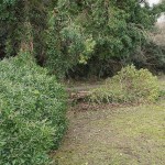 Cliquez sur la vignette pour obtenir l’agrandissement maximal.