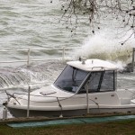 Cliquez sur la vignette pour obtenir l’agrandissement maximal.