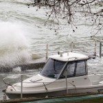 Cliquez sur la vignette pour obtenir l’agrandissement maximal.