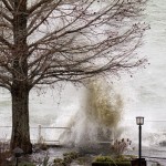 Cliquez sur la vignette pour obtenir l’agrandissement maximal.