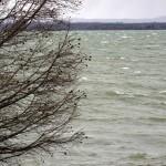 Cliquez sur la vignette pour obtenir l’agrandissement maximal.