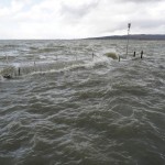 Cliquez sur la vignette pour obtenir l’agrandissement maximal.