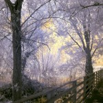 Cliquez sur la vignette pour obtenir l’agrandissement maximal.