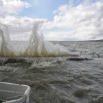 Cliquez sur la vignette pour obtenir l’agrandissement maximal.