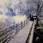 Cliquez sur la vignette pour obtenir l’agrandissement maximal.