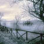 Cliquez sur la vignette pour obtenir l’agrandissement maximal.