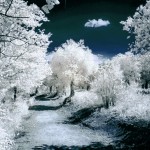 Cliquez sur la vignette pour obtenir l’agrandissement maximal.