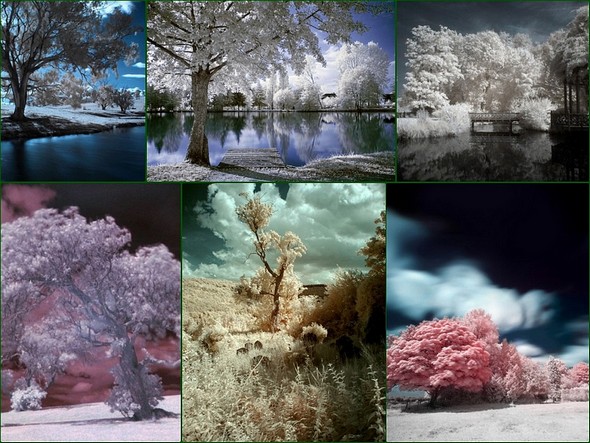 Méli-mélo de photos infrarouges en "fausses couleurs" trouvées sur le Net.