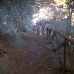 Cliquez sur la vignette pour obtenir l’agrandissement maximal.