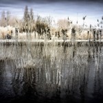 Cliquez sur la vignette pour obtenir l’agrandissement maximal.