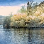 Cliquez sur la vignette pour obtenir l’agrandissement maximal.