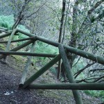 Clicca sulla miniatura per vedere l’ingrandimento massimo.