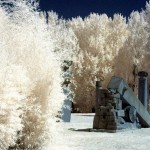 Cliquez sur la vignette pour obtenir l’agrandissement maximal.