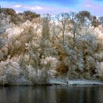 Cliquez sur la vignette pour obtenir l’agrandissement maximal.