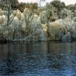 Cliquez sur la vignette pour obtenir l’agrandissement maximal.