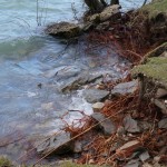 Cliquez sur la vignette pour obtenir l’agrandissement maximal.