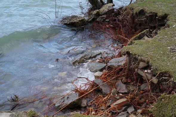 Idem : vue plus rapprochée.