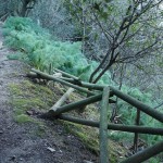 Clicca sulla miniatura per vedere l’ingrandimento massimo.