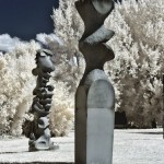 Cliquez sur la vignette pour obtenir l’agrandissement maximal.