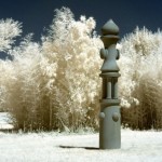 Cliquez sur la vignette pour obtenir l’agrandissement maximal.